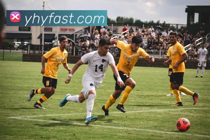 壹号娱乐官网APP 封面图