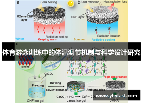 体育游泳训练中的体温调节机制与科学设计研究